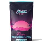 Florida White Magic Mushroom